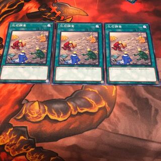 化石調査 ノーマル　3枚