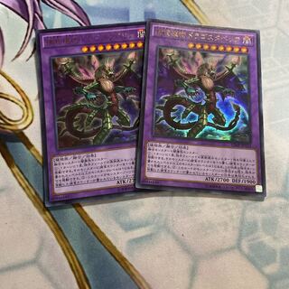 捕食植物ドラゴスタペリア ウルトラレア　2枚