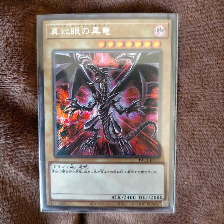 真紅眼の黒竜（イラスト違い版） シークレットレア