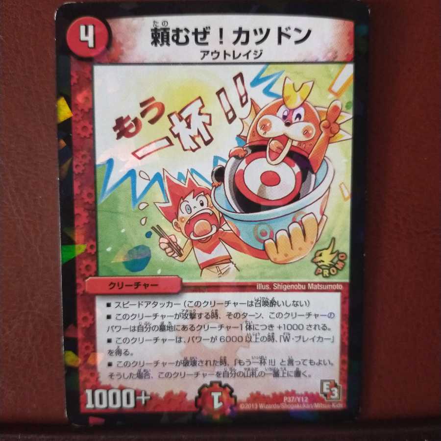 Fst115 set discount Please! Katsudon