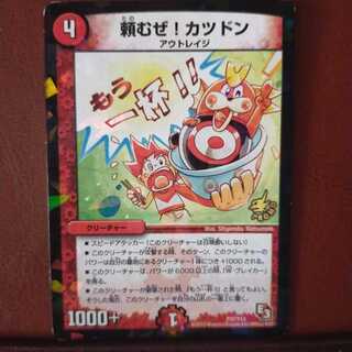 Fst115セット割引　頼むぜ!カツドン