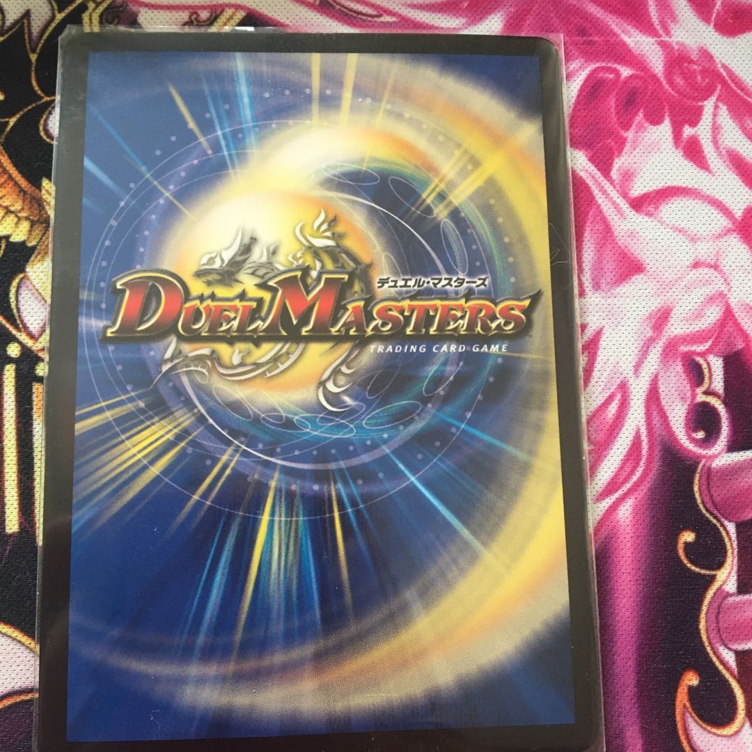 煌龍 サッヴァーク