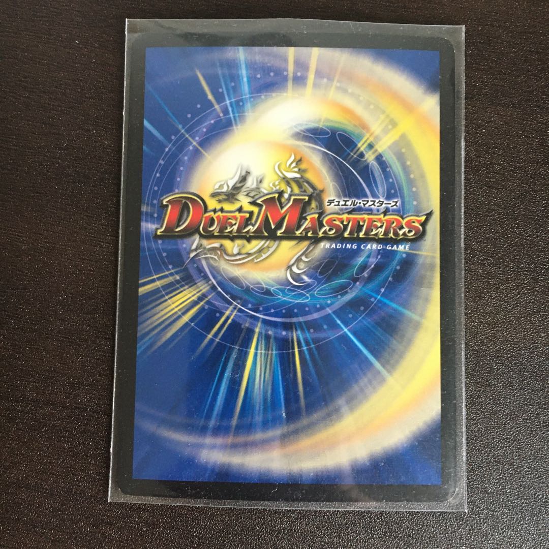 煌龍 サッヴァーク