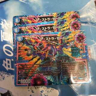 アストラゼーレ シク