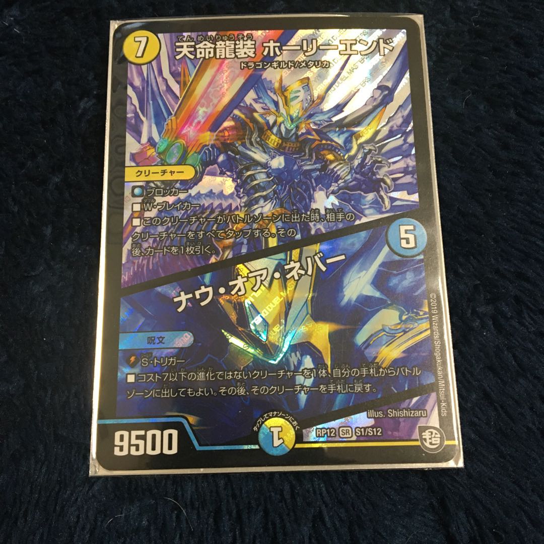 天命龍装 ホーリーエンド/ナウ・オア・ネバー