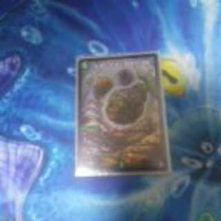 ふうさん専用生命と大地と轟破の決断