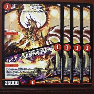 水輝さん専用　セット割引　激竜王｜ガイアール流激烈竜王破・滅