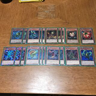 捕食植物デッキ