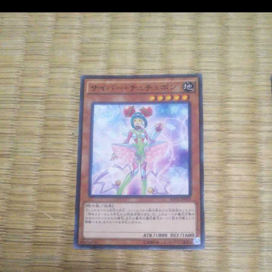 Yu-Gi-Oh Cyber Tutubon YGO-106