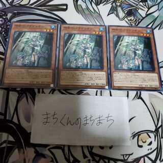 705　神樹のパラディオン3枚set