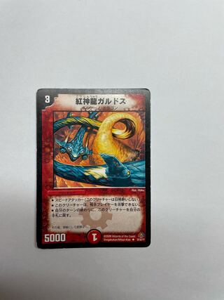 紅神龍ガルドス