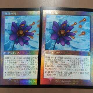 睡蓮の花　プロモ　2枚