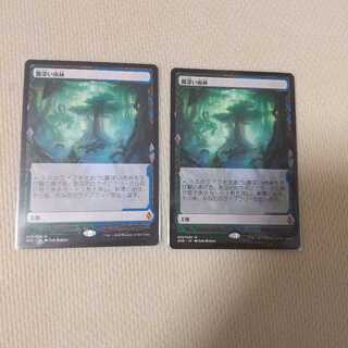 【ZNE版】霧深い雨林二枚セット