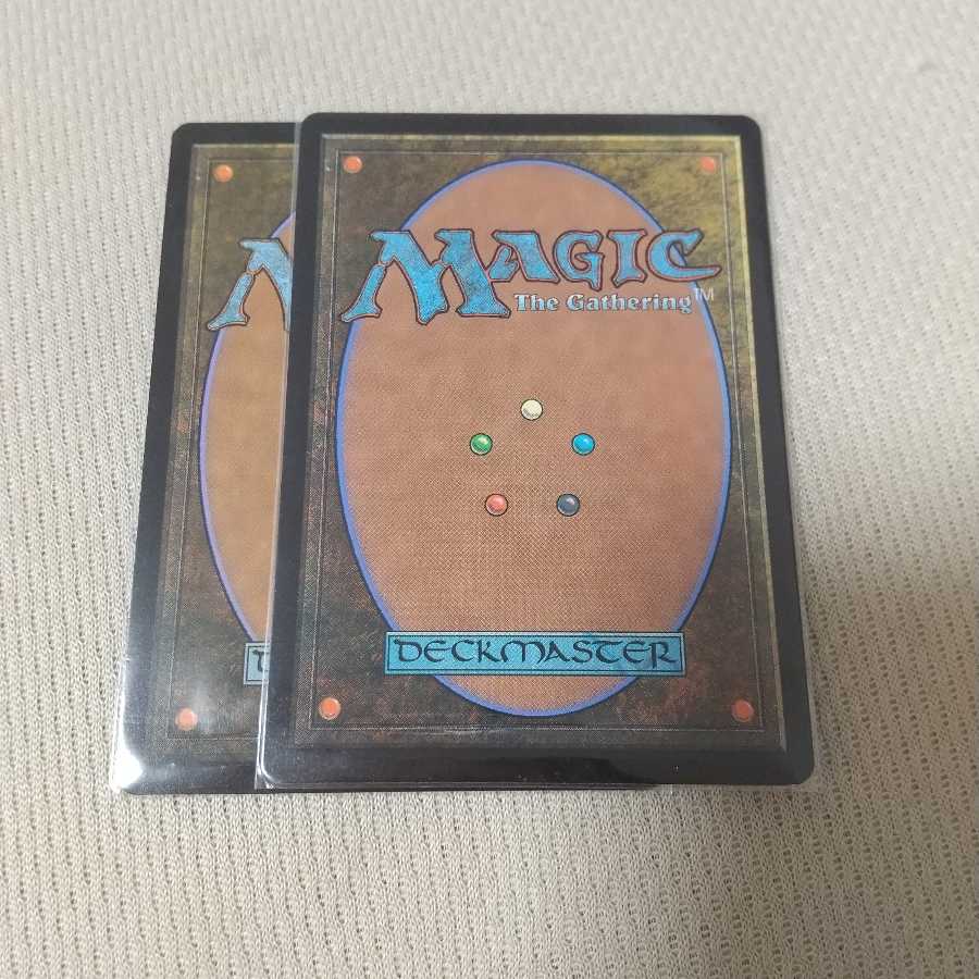 【ZNE版】霧深い雨林二枚セット