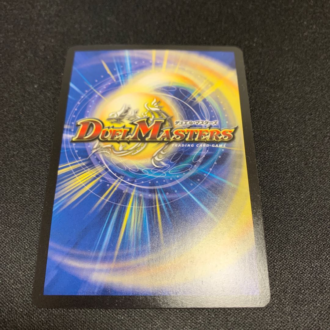 蒼龍の大地 R-foil