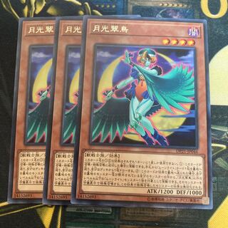 マドレース2504月光翠鳥 レア