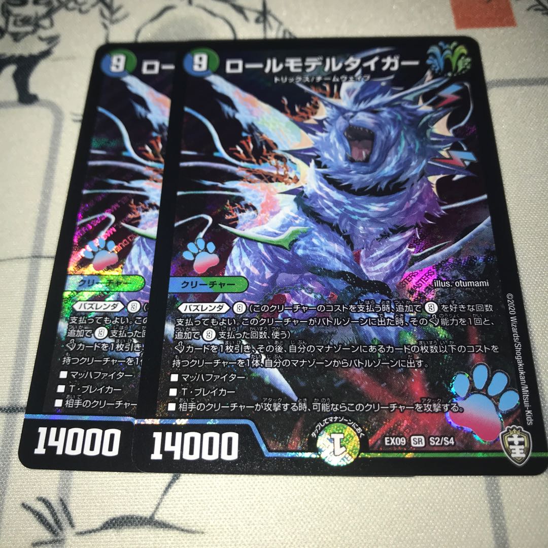 ロールモデルタイガー