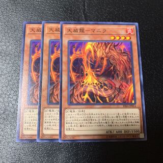 天威龍-マニラ ノーマル