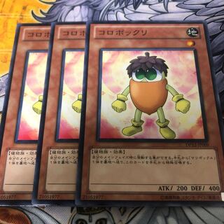 遊戯王　コロボックリ ノーマル3枚セット