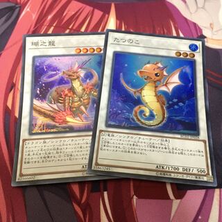 瑚之龍　たつのこ