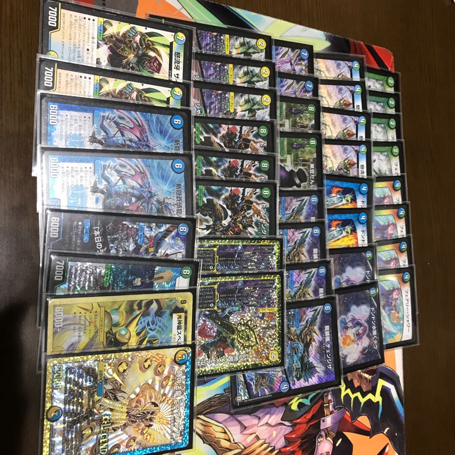 ドンジャングルスリーブ付き