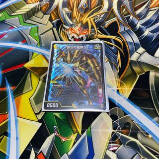 「雷光の聖騎士」