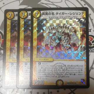 真実の名 タイガー・レジェンド