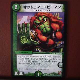 Fst202セット割引　オットコマエ・ピーマン