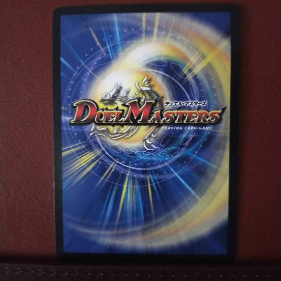 Fst202セット割引 オットコマエ・ピーマン