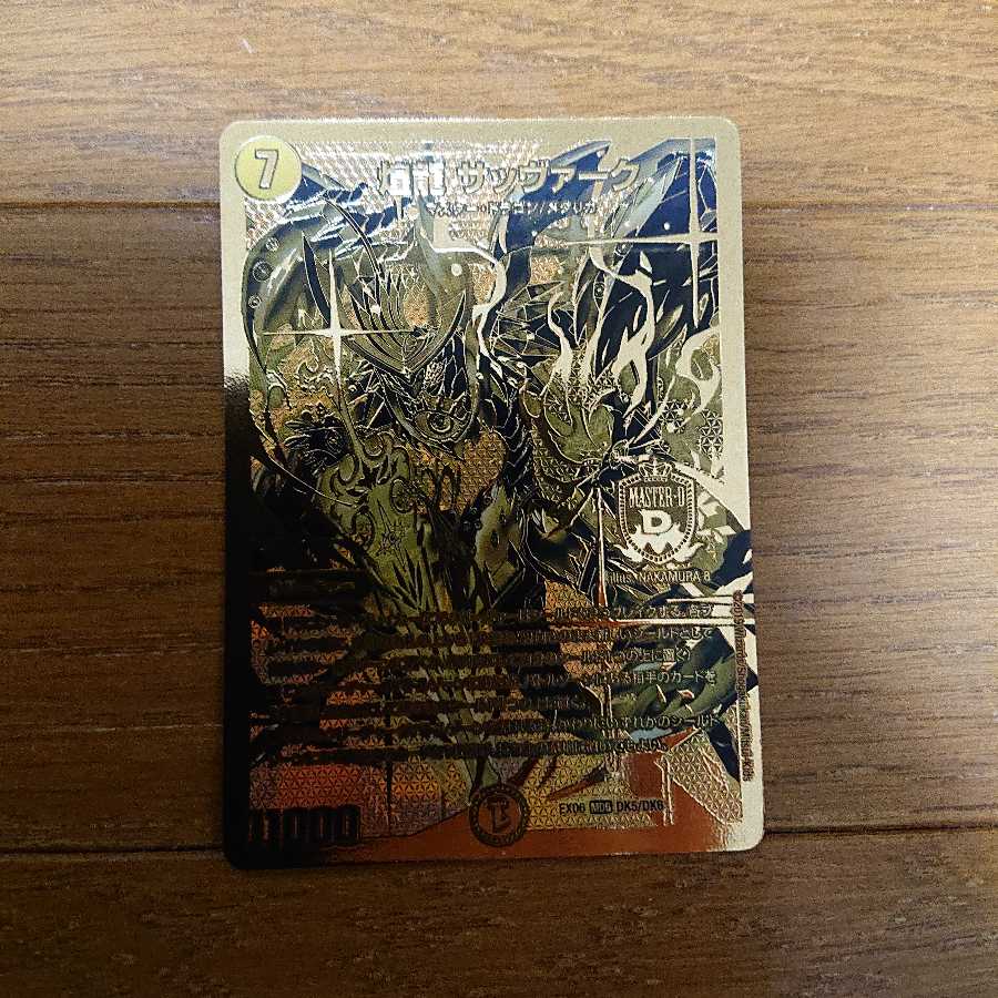 煌龍 サッヴァーク