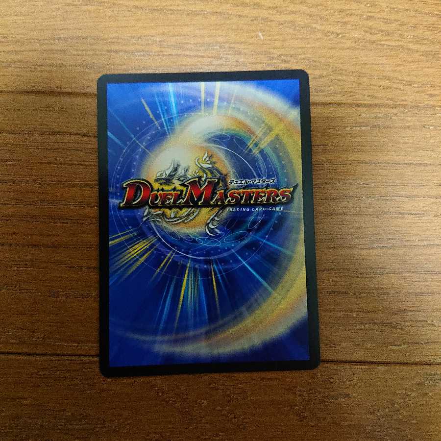 煌龍 サッヴァーク