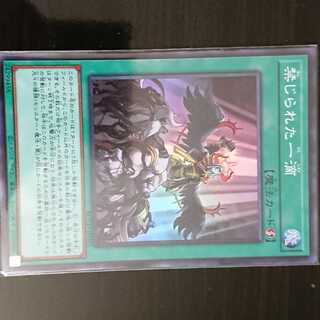 遊戯王 ROTD 禁じられた一滴 スーパーレア 1枚