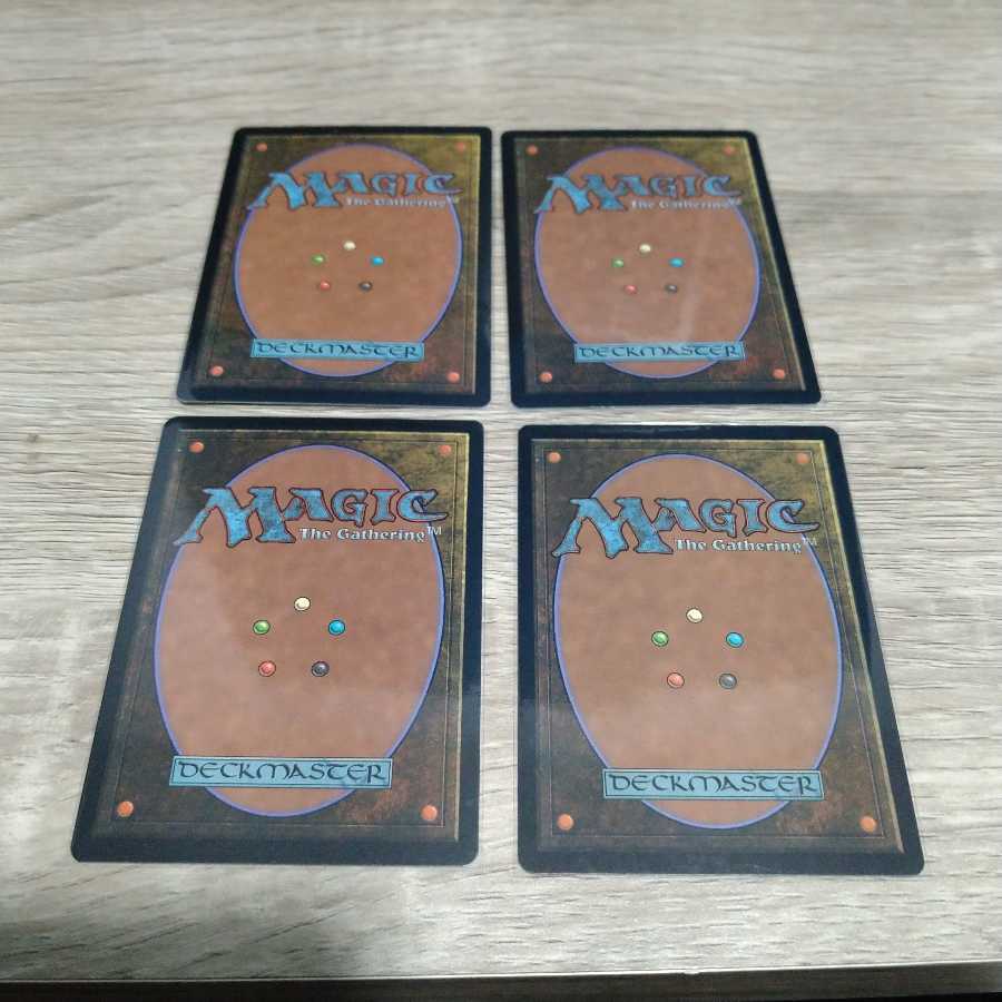 食物連鎖　4枚セット