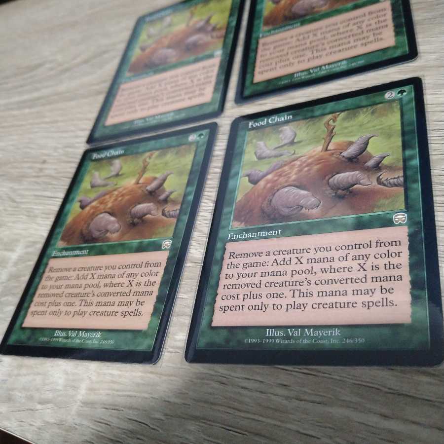 食物連鎖　4枚セット