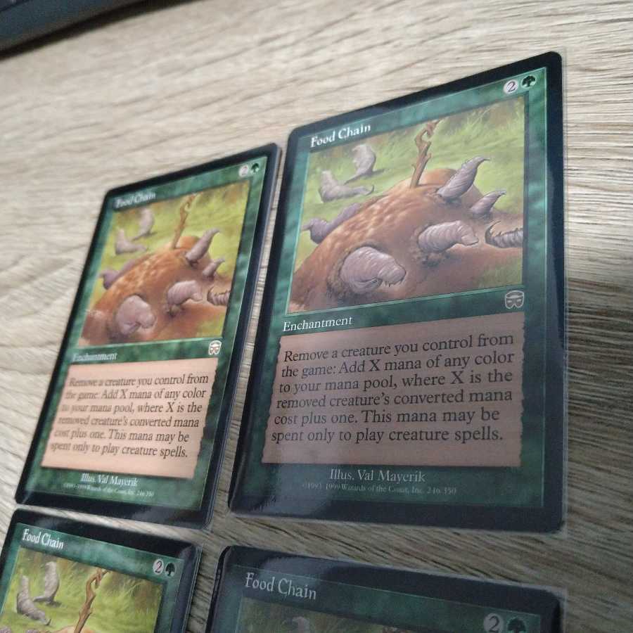 食物連鎖　4枚セット