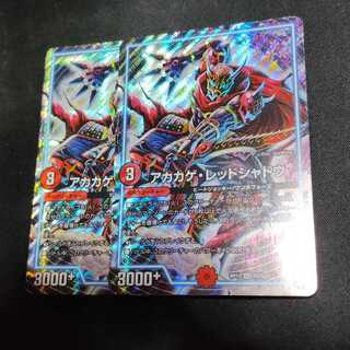 アカカゲ・レッドシャドウ