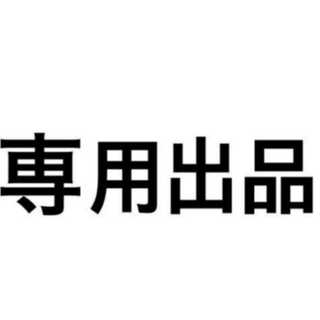 MY様専用熱血星龍 ガイギンガGS