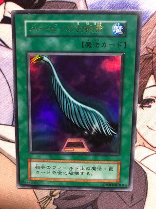 ハーピィの羽根帚