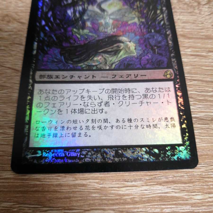 苦花 日本語 foil モーニングタイド 1枚