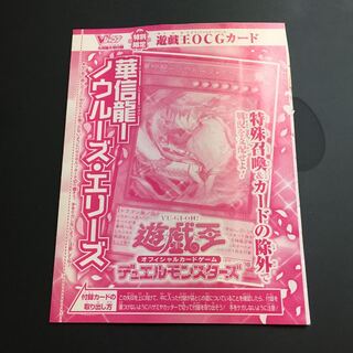 ★華信龍ーノウルーズ・エリーズ　新品未開封★