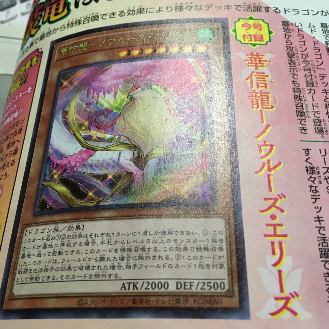 ★華信龍ーノウルーズ・エリーズ　新品未開封★