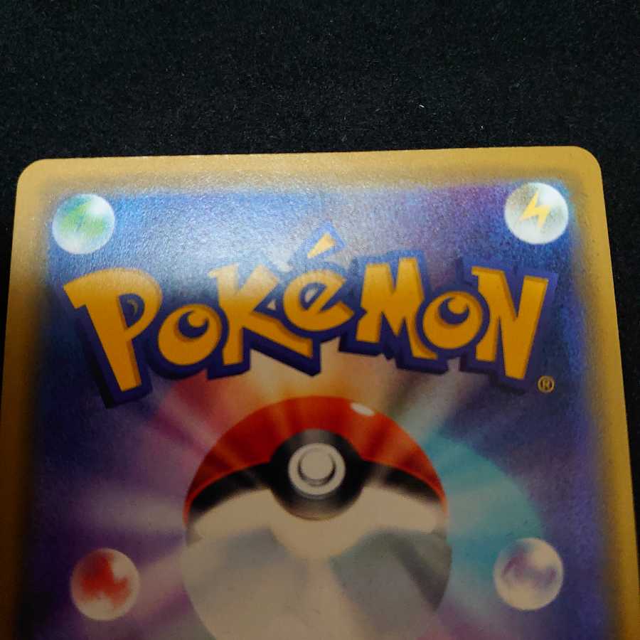 海で遊ぶピカチュウ