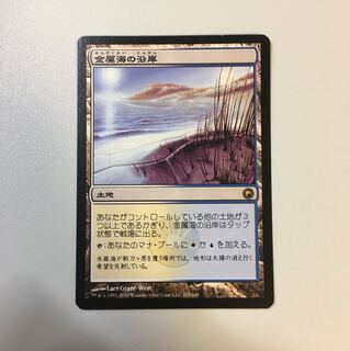 金属海の沿岸(ミラディンの傷跡)