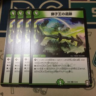 獅子王の遺跡　4枚