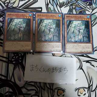 709　神樹のパラディオン3枚set