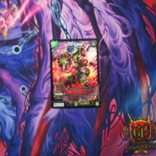 ドマンモ龍樹　1枚