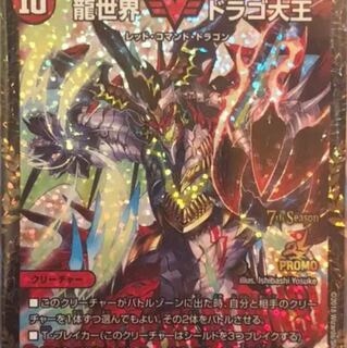 サブ様専用 1枚