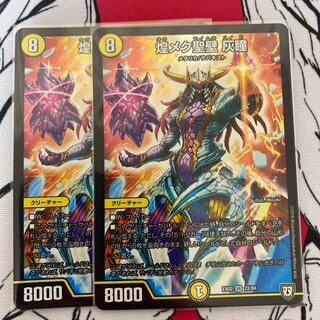 煌メク聖壁 灰瞳