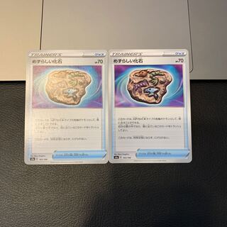 めずらしい化石