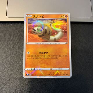 スナヘビ(キラ)